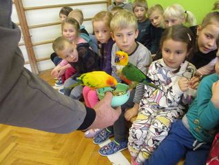 Papoušci ve škole